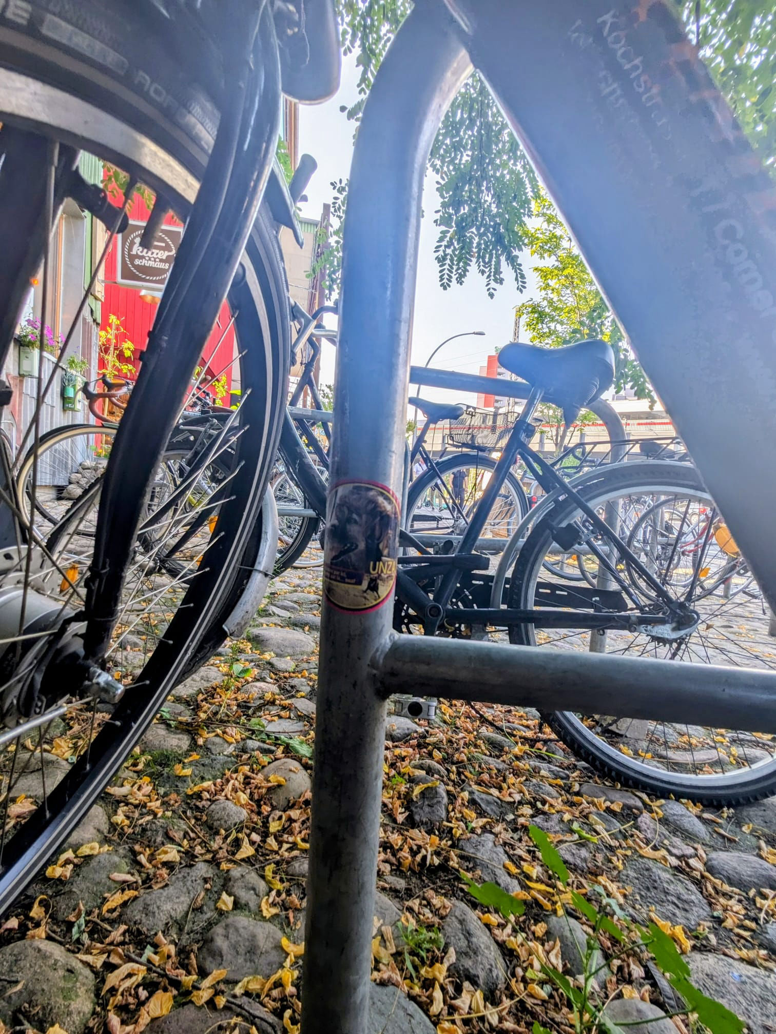 Mobirise Website Builder